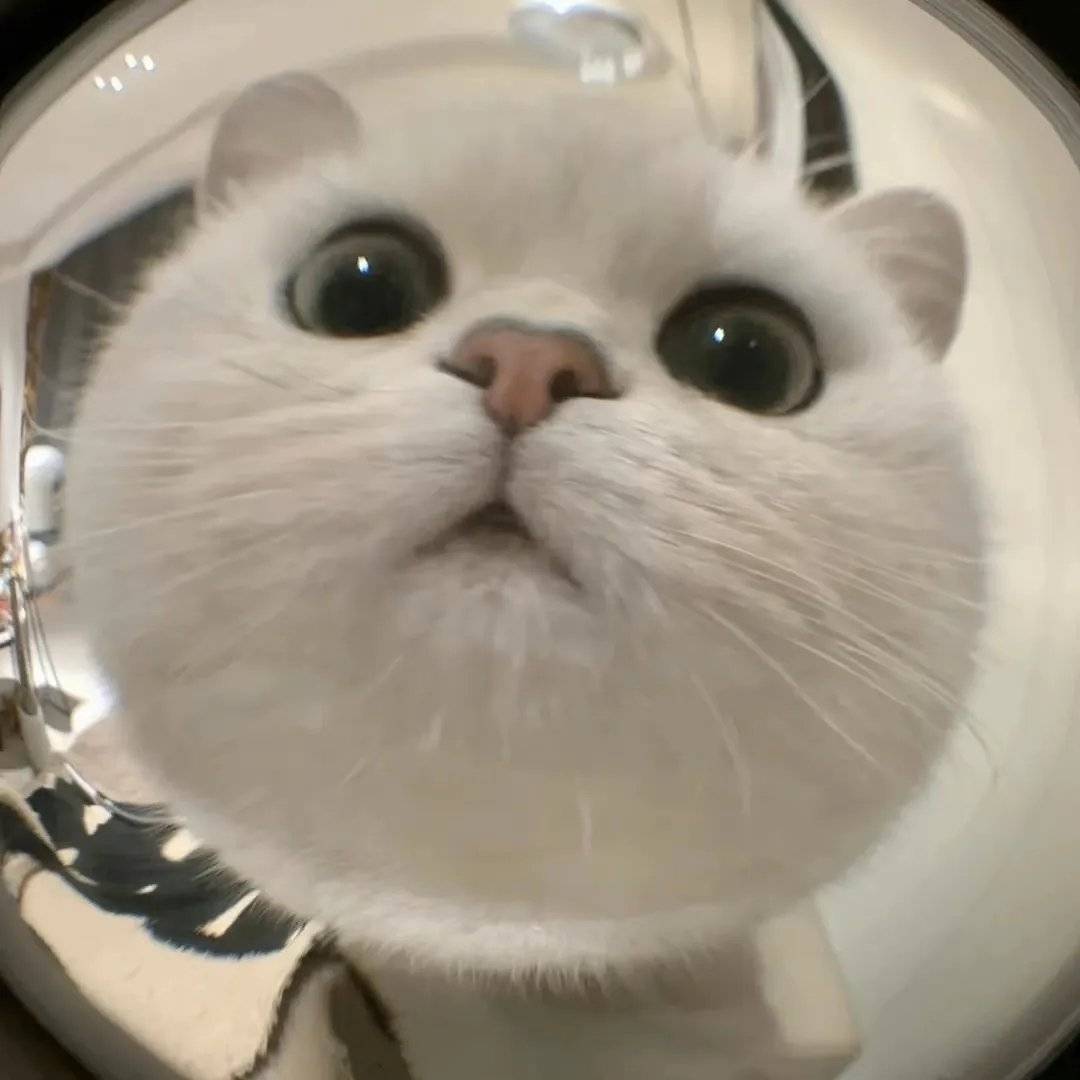 1698048295390.jpg
