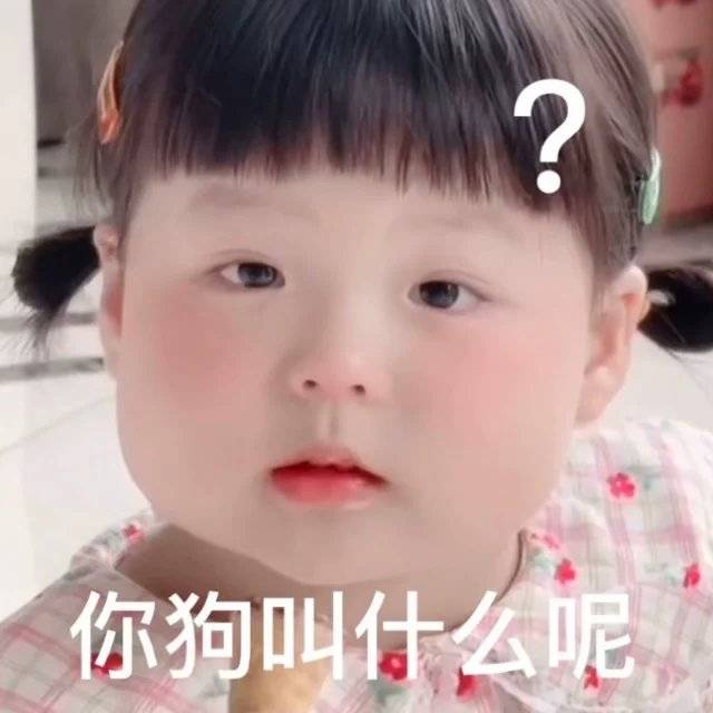 1698646416058.jpg