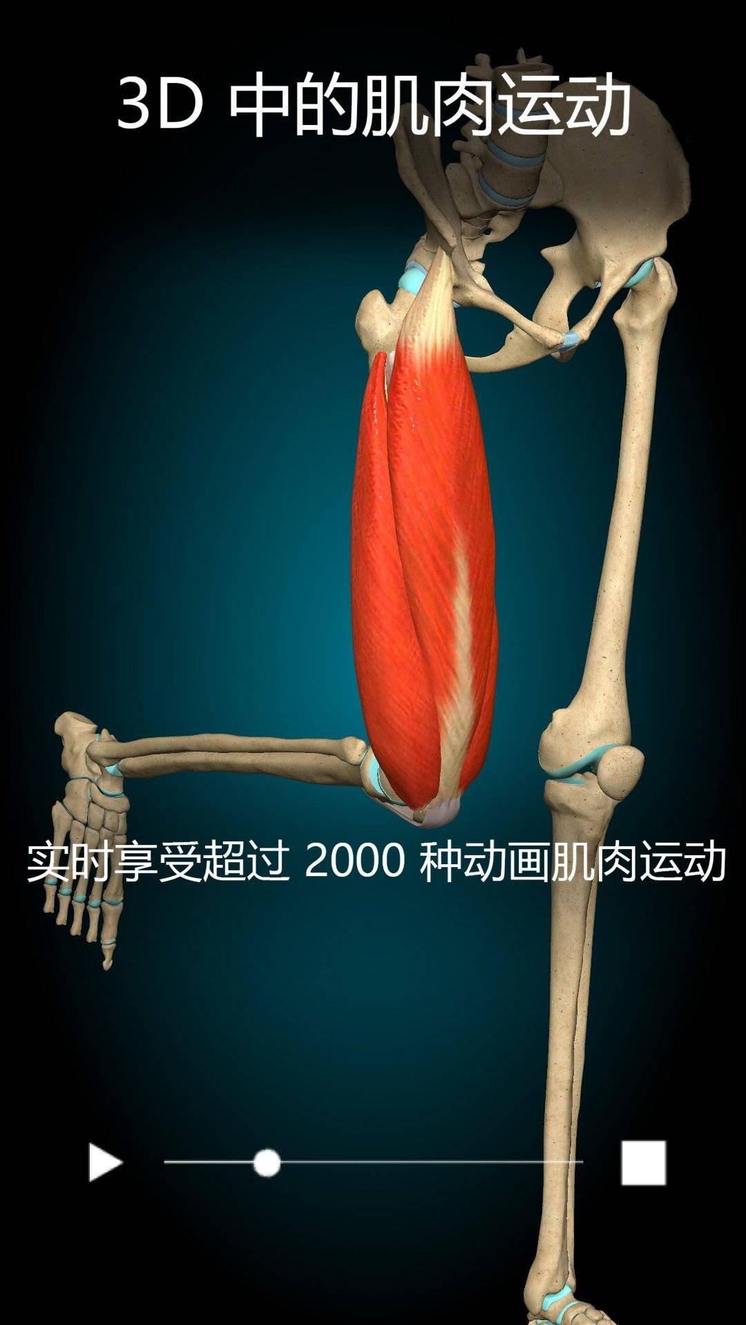 1702708291981.jpg