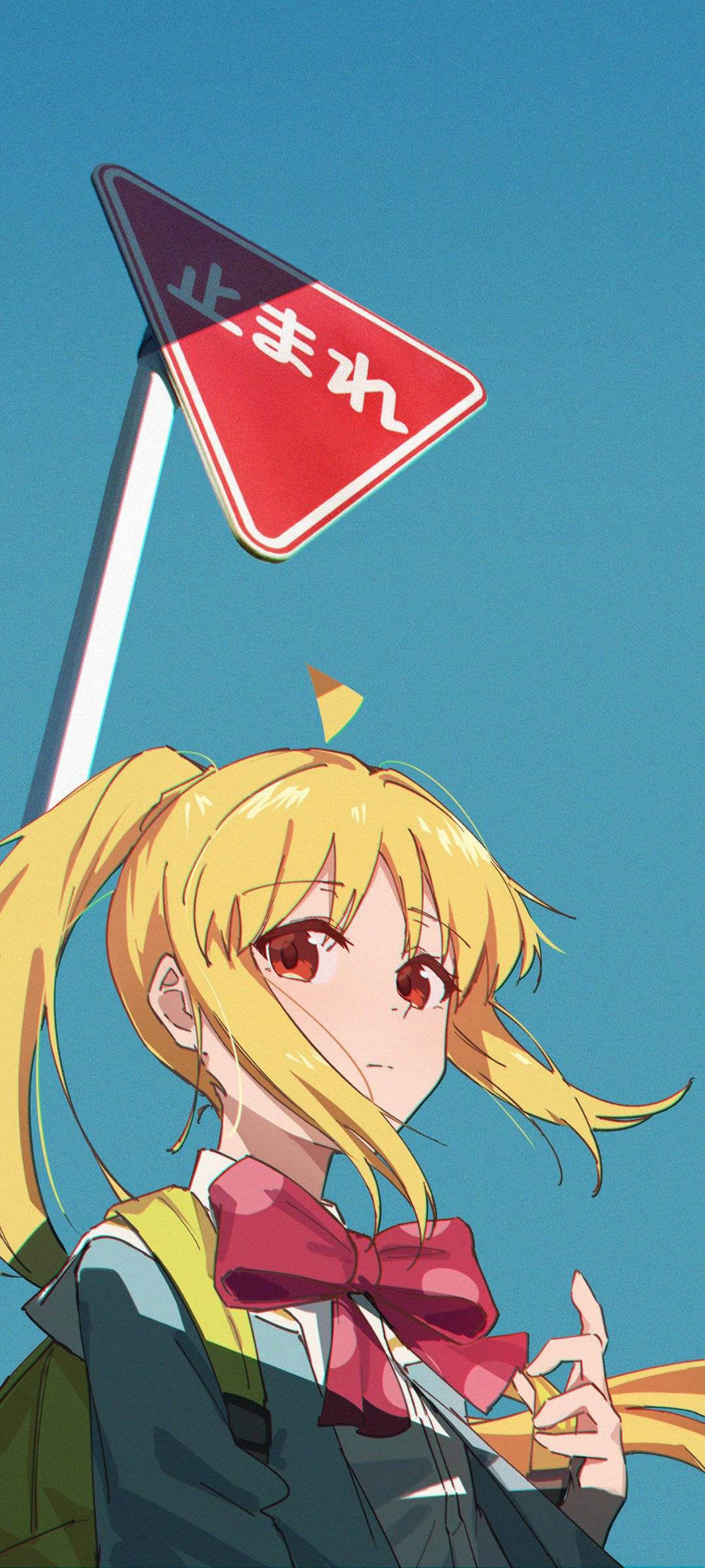 1707926555384.jpg